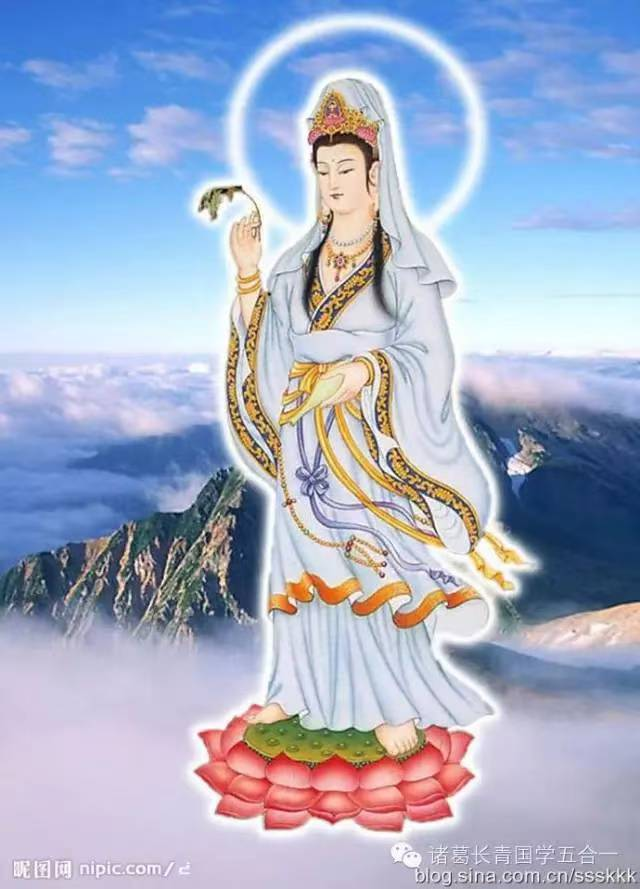 1772367919150659.png image.png