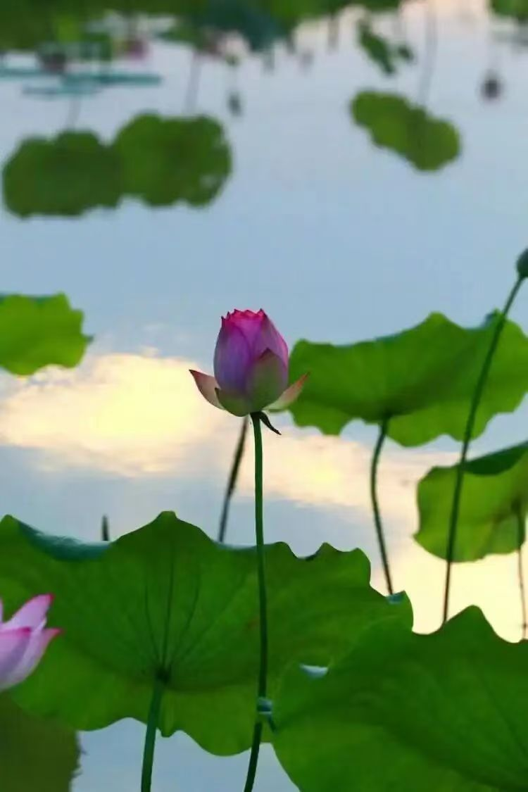 1779096370945093.png image.png
