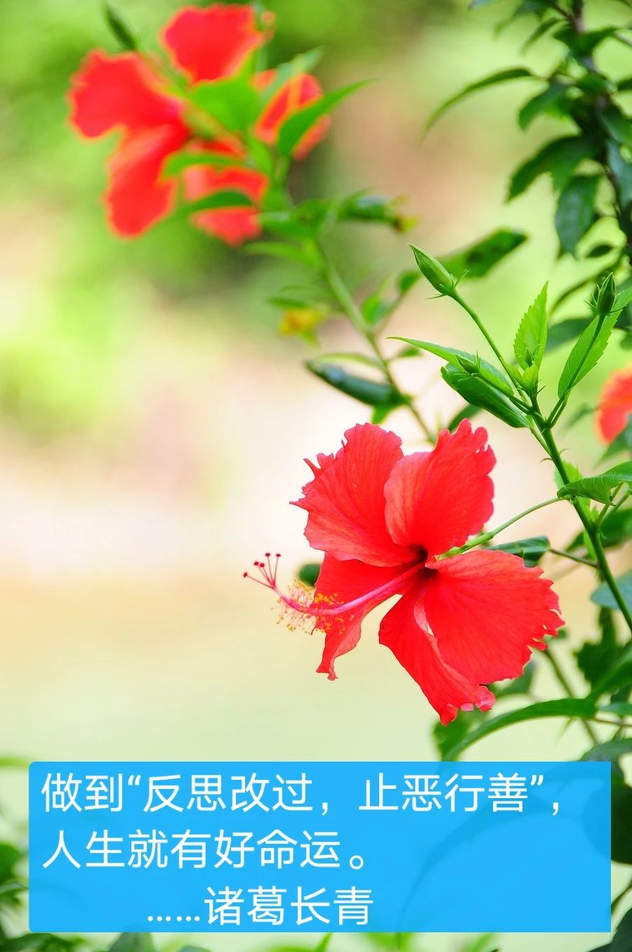1664965223542327.png 0 (1).jpg