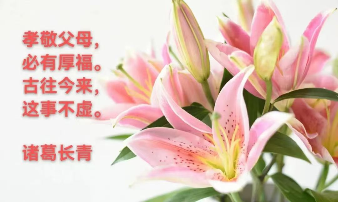 1747108278935135.png image.png