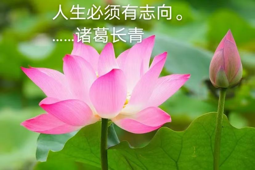 1747577967197573.png image.png