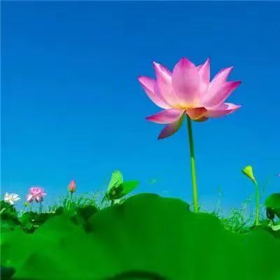 1749355180212073.png image.png
