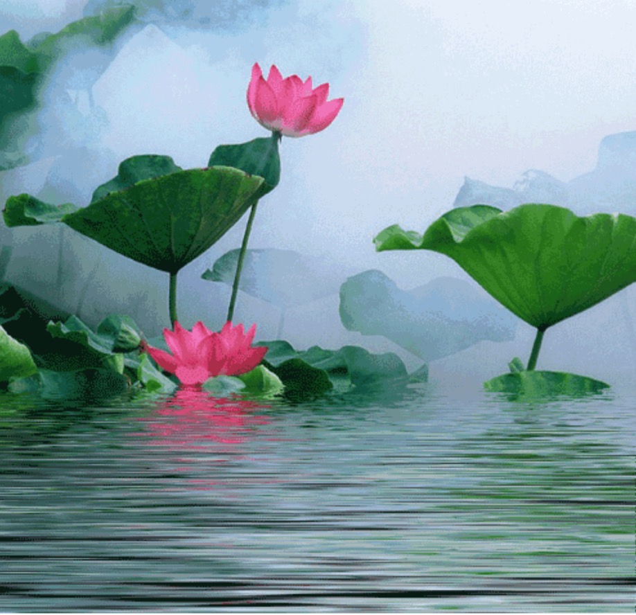 1751110819174275.png image.png