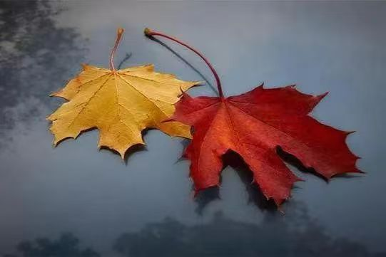 1751353197522347.png image.png