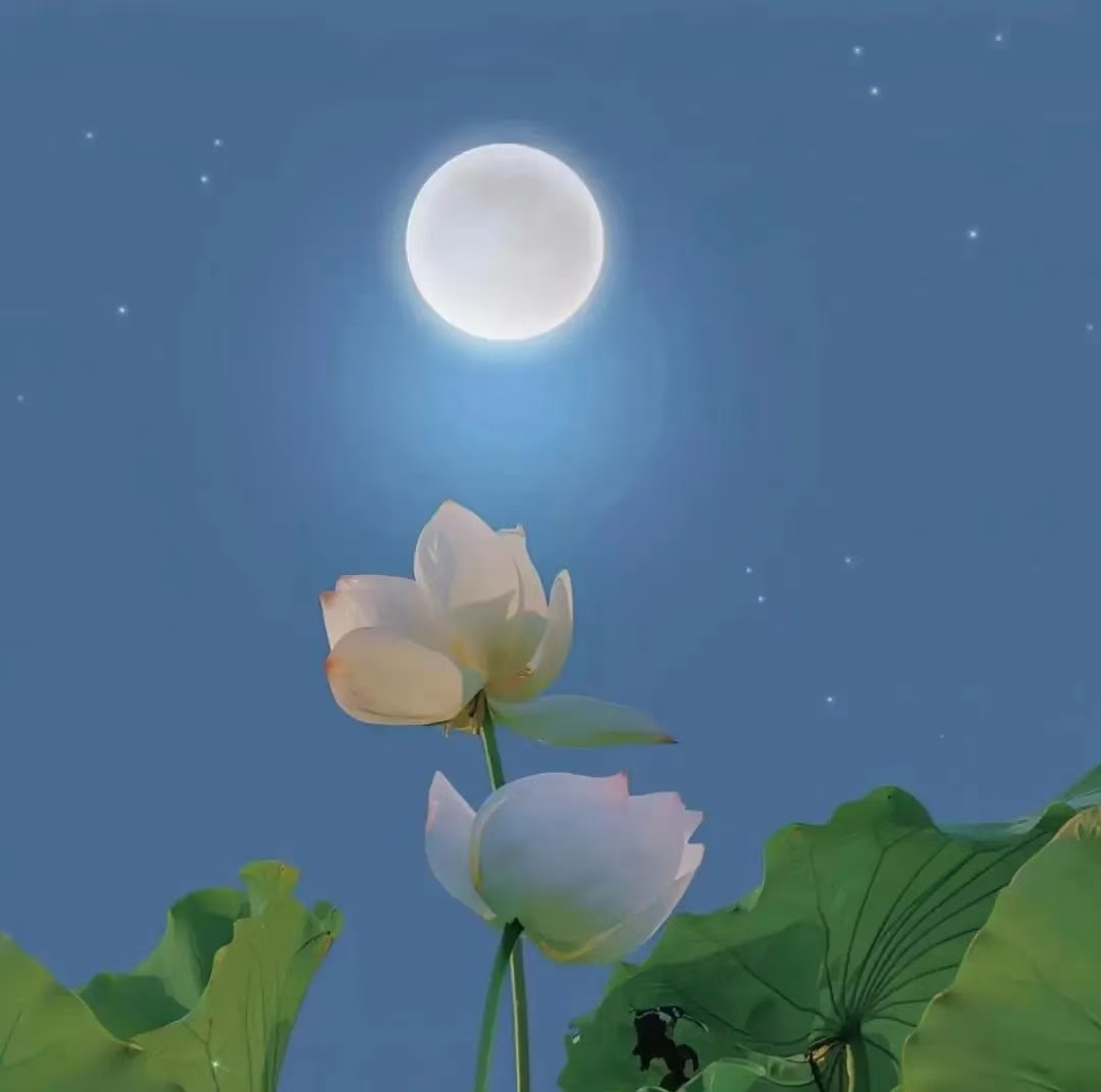 1751377743148685.png image.png