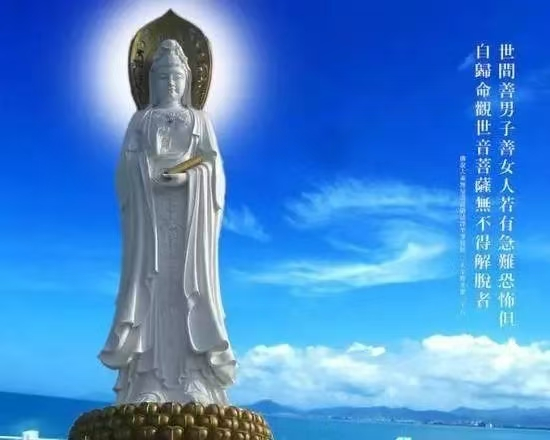 1752203988651480.png image.png