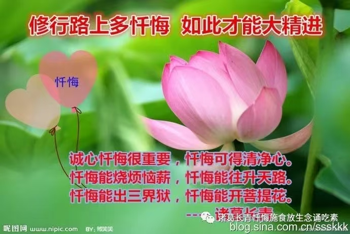 1752306548869077.png image.png