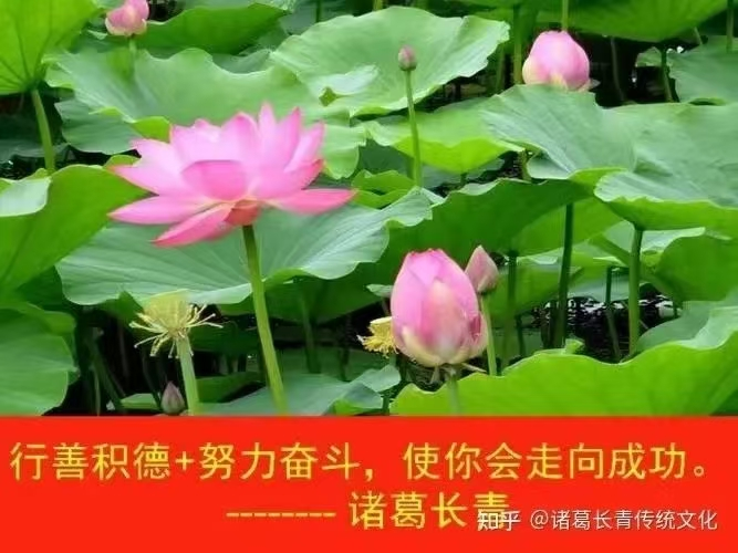 1753601274501137.png image.png