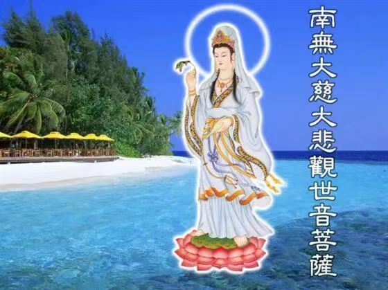 1758290851138833.png image.png