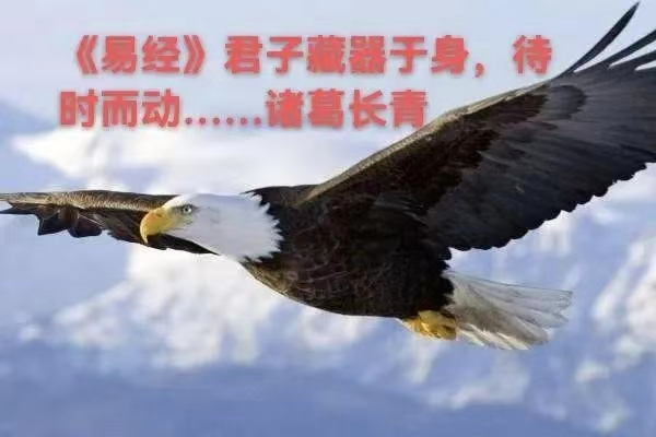 1758619515180825.png image.png