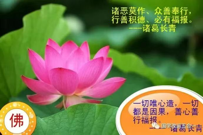 1760967788112146.png image.png