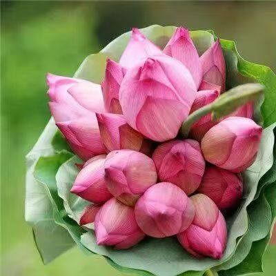 1762521042112580.png image.png