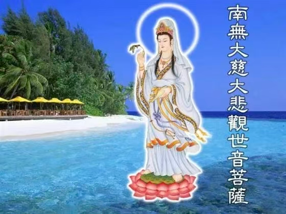 1768395624162544.png image.png